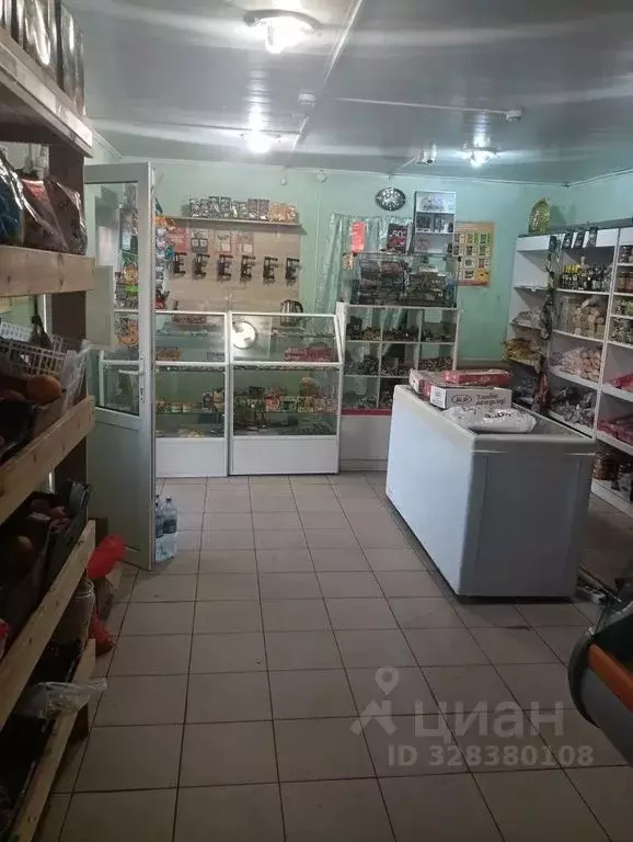 Торговая площадь в Оренбургская область, Оренбургский район, с. Нижняя ... - Фото 2