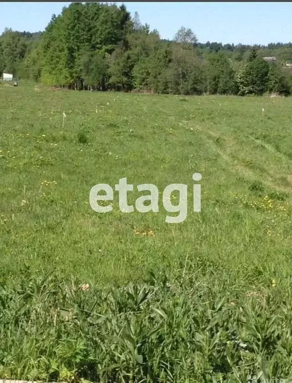 Участок в Вологодская область, Шекснинский муниципальный округ, д. ... - Фото 1