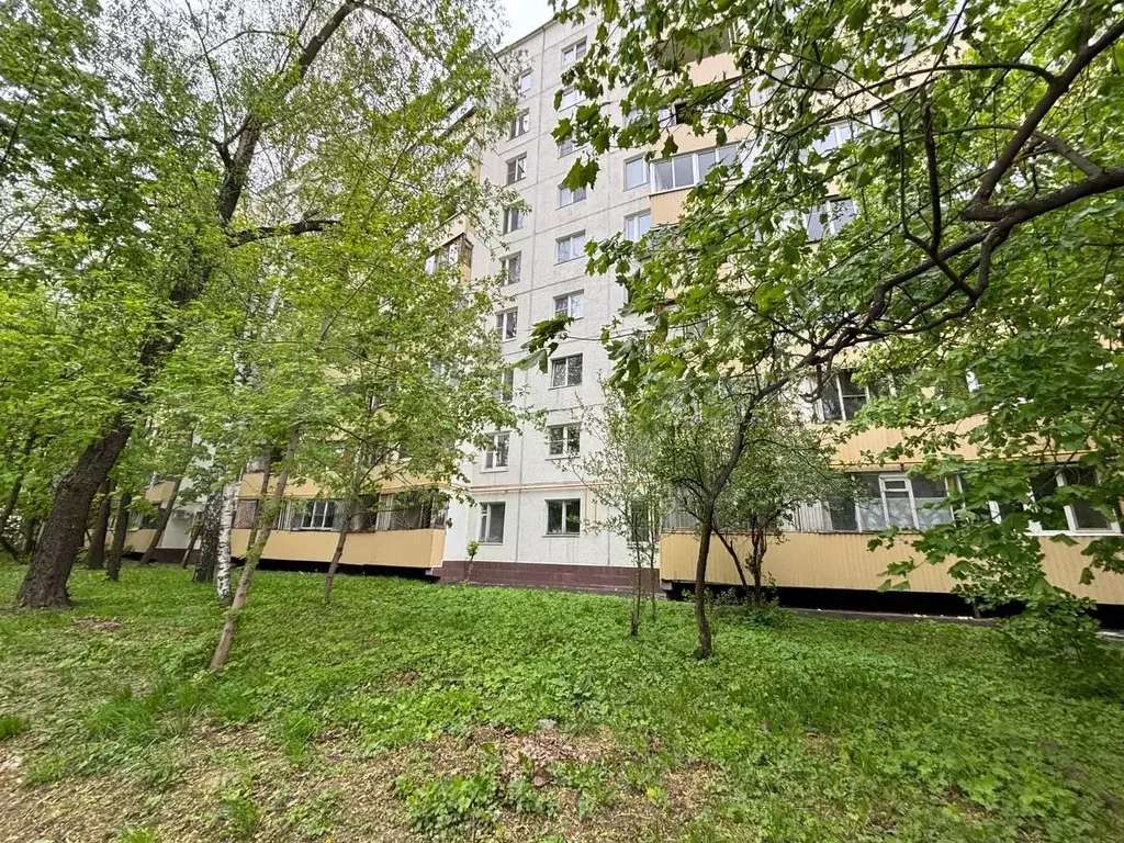 Квартира-студия, 10 м, 1/9 эт. - Фото 1