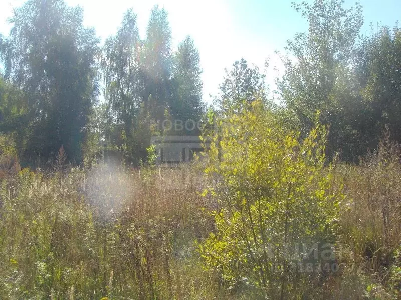 Участок в Московская область, Орехово-Зуевский городской округ, д. ... - Фото 1
