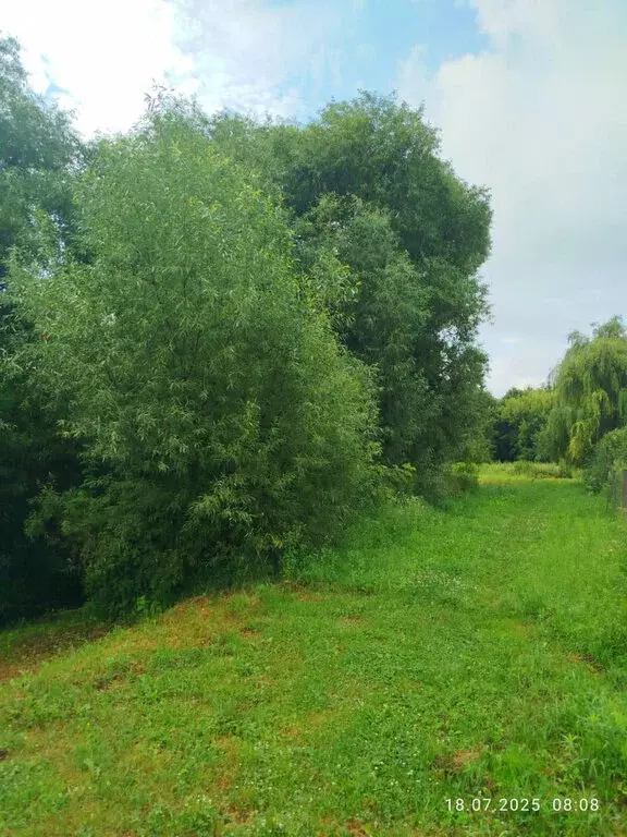 Дом в Сухая Орлица, Монастырская улица (50 м) - Фото 1