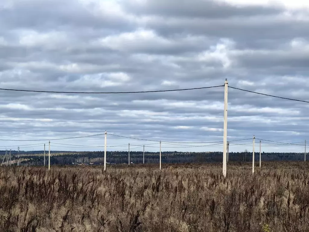 Участок в Калужская область, Боровский район, Совьяки с/пос, д. ... - Фото 1