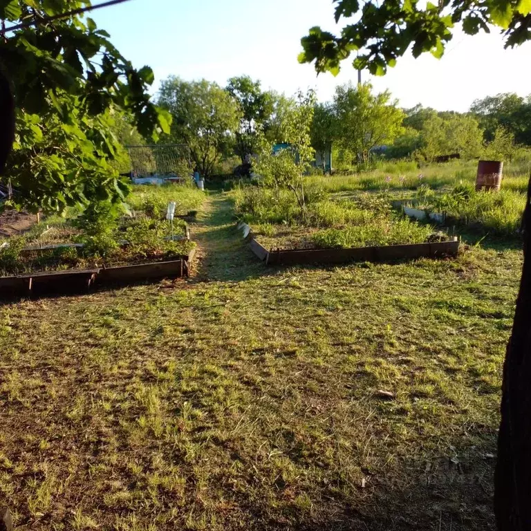Участок в Еврейская автономная область, Смидовичский район, Победа СНТ ... - Фото 2