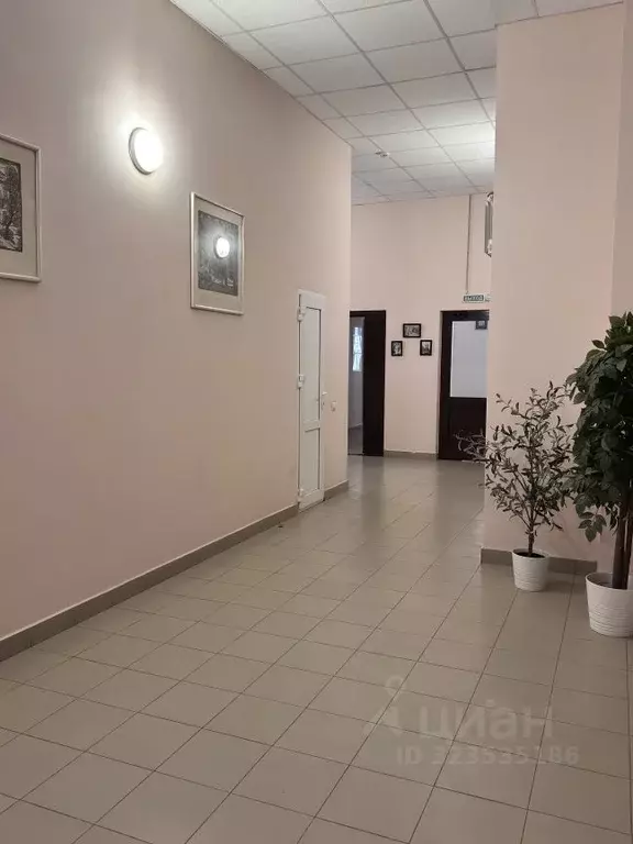 1-к кв. Самарская область, Самара Ленинская ул., 217 (46.0 м) - Фото 1