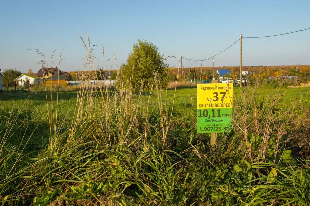 Участок в Ленинградская область, Ломоносовский район, Ропшинское ... - Фото 1