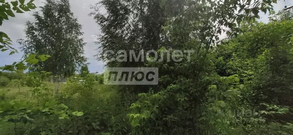 Участок в Челябинская область, Челябинск пос. Новосинеглазово, ... - Фото 1