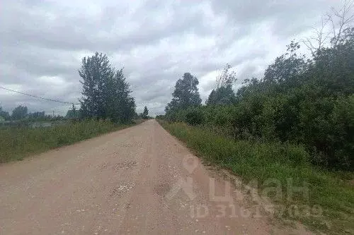 Участок в Новгородская область, Новгородский район, Ракомское с/пос, ... - Фото 1