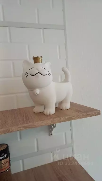 Студия Санкт-Петербург ул. Пахомовская, 18к2 (20.0 м) - Фото 1