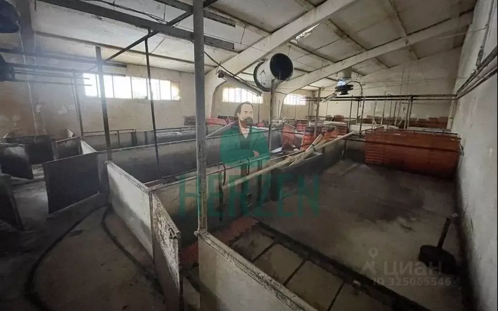 Склад в Москва д. Кузнецово,  (12000 м) - Фото 2