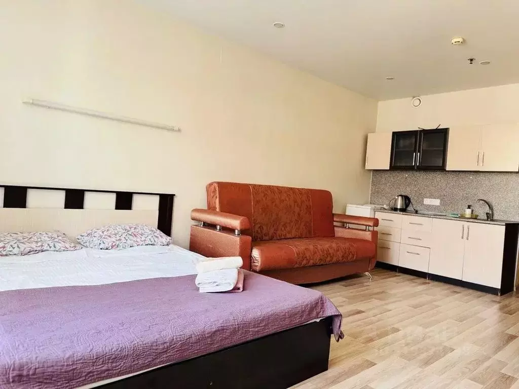 Студия Санкт-Петербург ул. Хошимина, 16А (30.0 м) - Фото 0