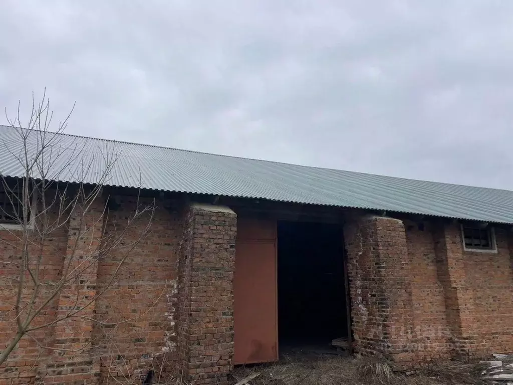 Склад в Московская область, Истра муниципальный округ, д. Кострово ул. ... - Фото 1