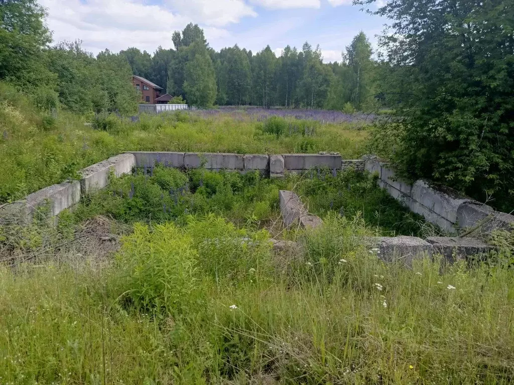 Участок в Нижегородская область, Бор муниципальный округ, с. Городищи  ... - Фото 2