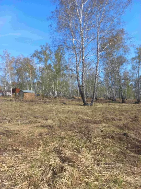 Участок в Омская область, Омск Московка-2 мкр,  (8.0 сот.) - Фото 2