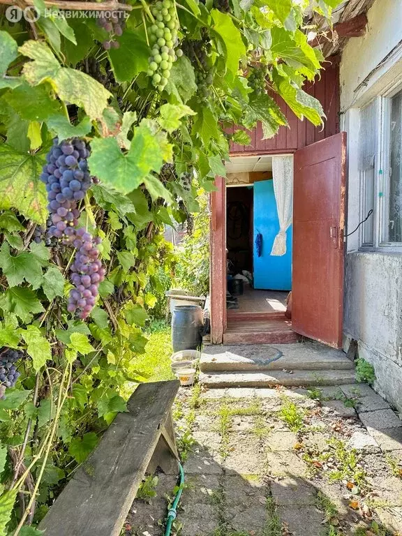 2-комнатная квартира: село Засечное, Турбазовская улица, 2 (41.1 м) - Фото 1