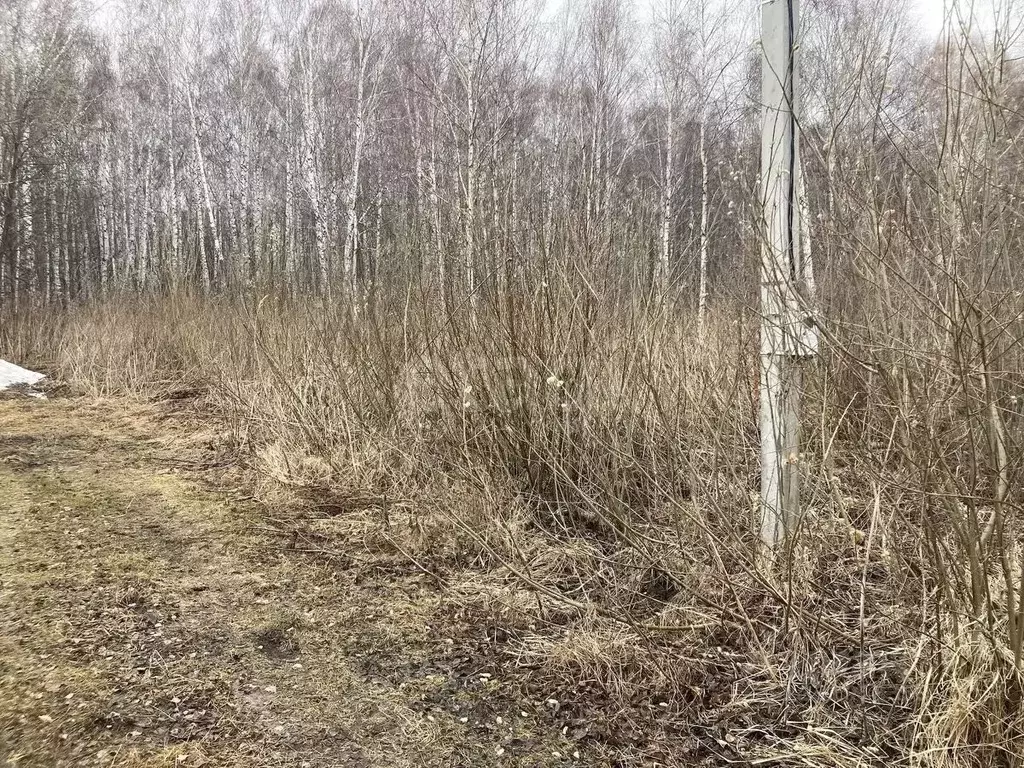 Участок в Тюменская область, Нижнетавдинский муниципальный округ, ... - Фото 1