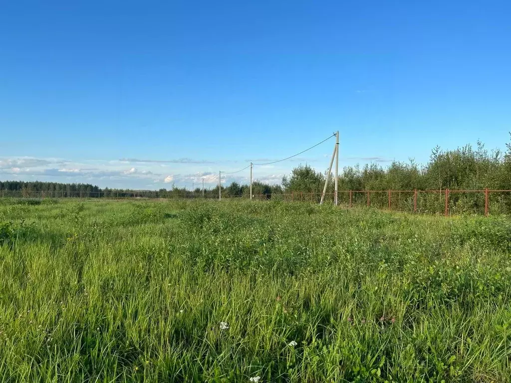 Участок в Московская область, Клин городской округ, д. Плюсково, ... - Фото 1