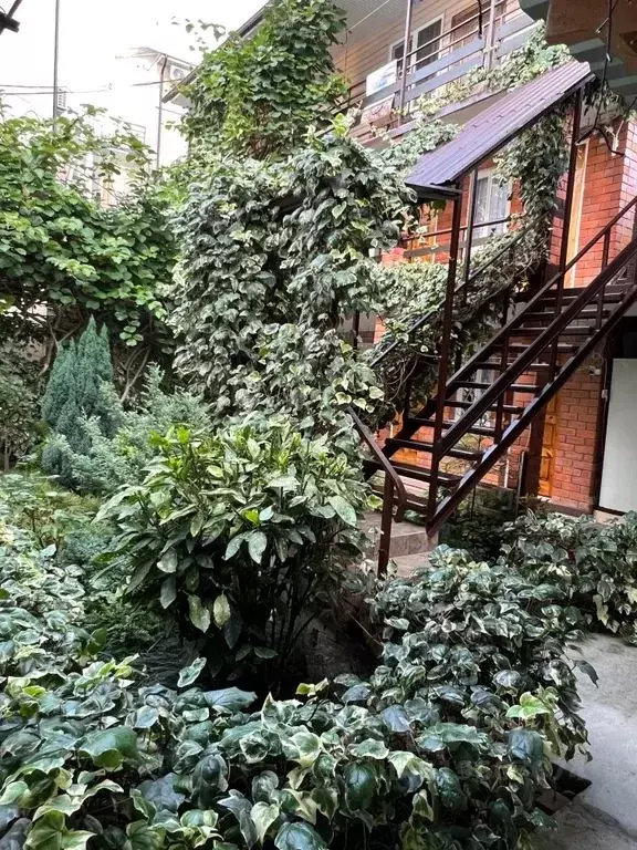 Комната Краснодарский край, Сочи Лазаревское жилрайон, ул. Калараша, 8 - Фото 0