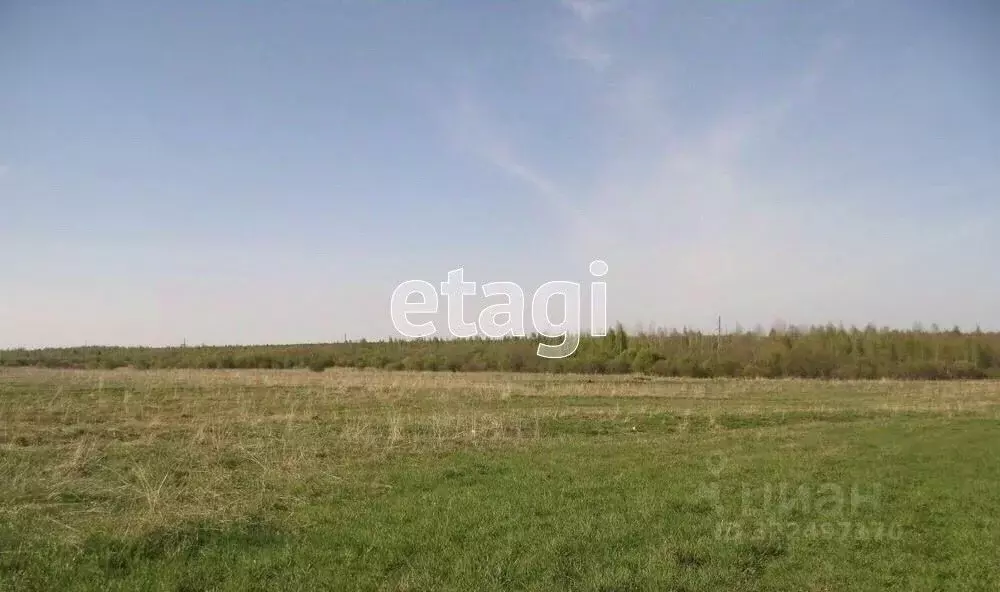 Участок в Вологодская область, д. Кольцеево  (37.4 сот.) - Фото 1