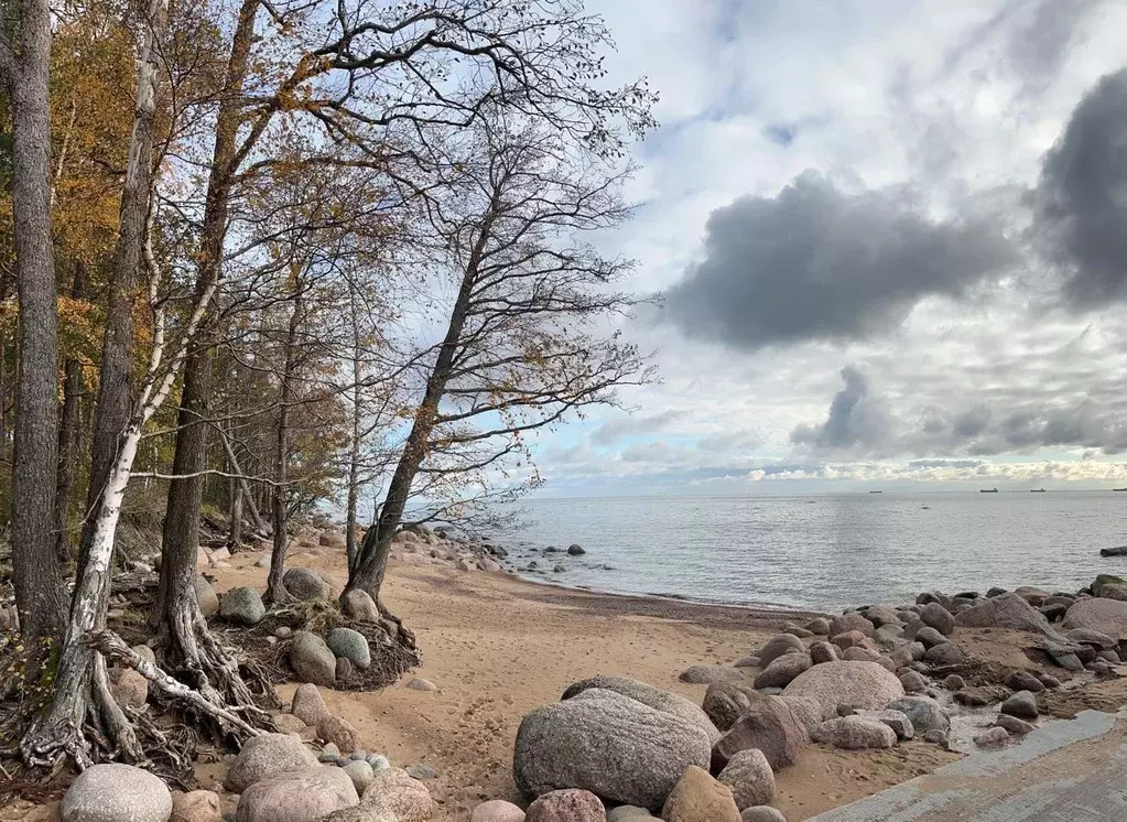 Участок, 10 сот., поселения (ижс) - Фото 1