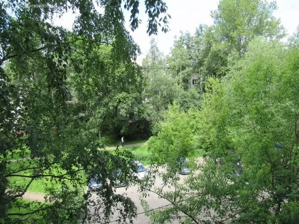 3-комнатная квартира: Санкт-Петербург, проспект Космонавтов, 76 (65 м) - Фото 2