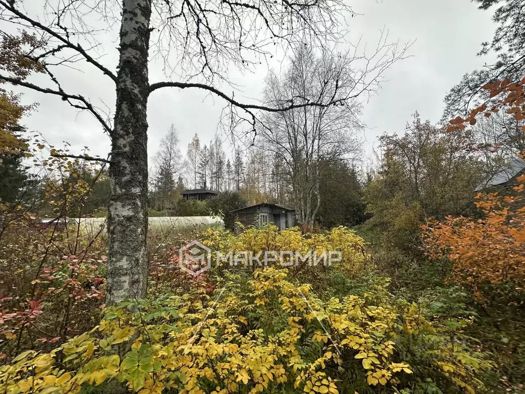 Участок в Ленинградская область, Выборгский район, Рощинское городское ... - Фото 1