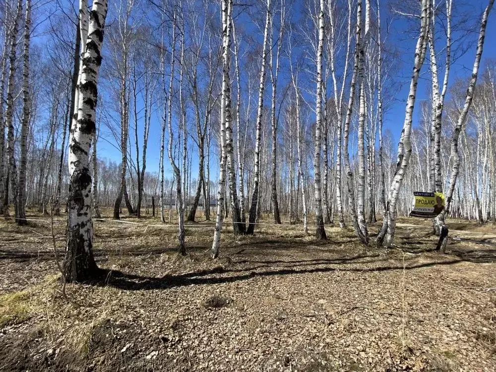 Участок в Иркутская область, Иркутский муниципальный округ, пос. Новая ... - Фото 0