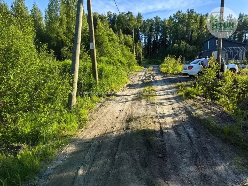 Участок в Карелия, Прионежский район, пос. Новая Вилга ш. ... - Фото 1