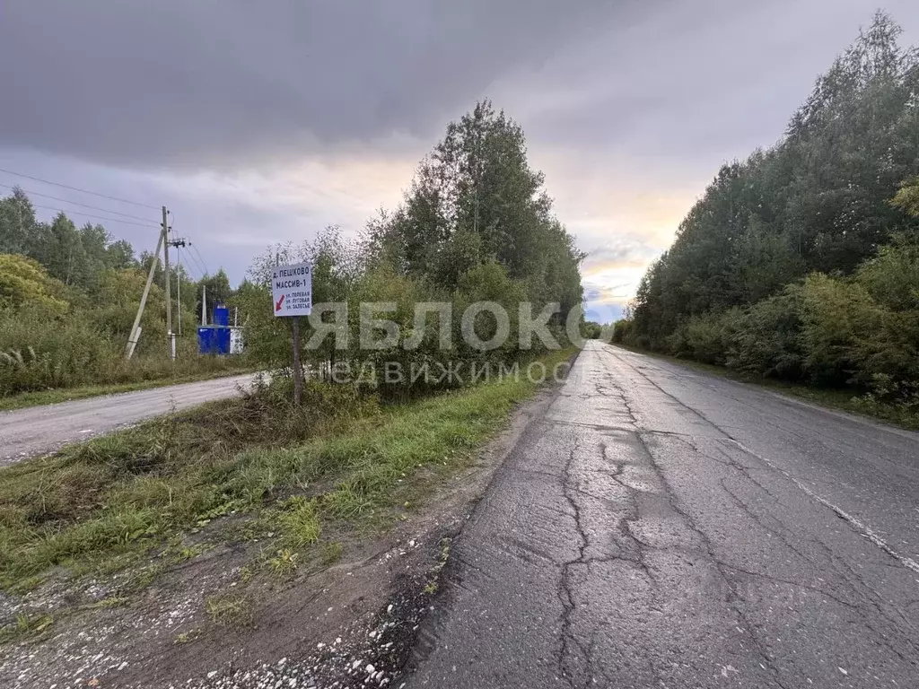 Участок в Пермский край, Березники муниципальный округ, д. Пешково ул. ... - Фото 1