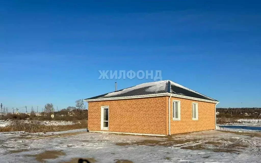 Дом в Амурская область, Благовещенск Игнатьевское ш. (71 м) - Фото 1