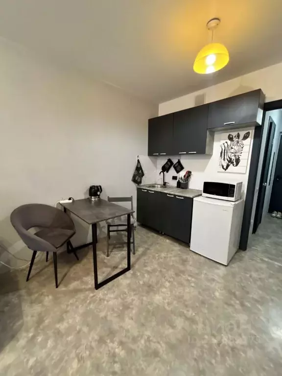 Студия Красноярский край, Красноярск ул. Карамзина, 6 (25.4 м) - Фото 1