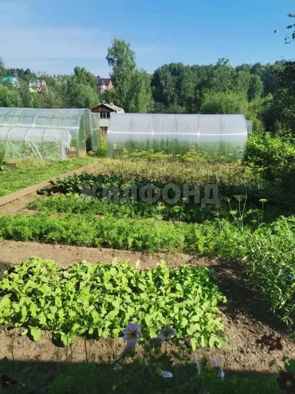 Дом в Новосибирская область, Новосибирск  (40 м) - Фото 0