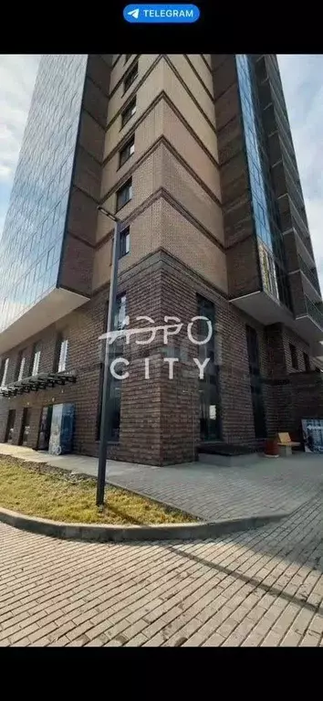 Студия Красноярский край, Красноярск Аэровокзальная ул., 19Е (30.4 м) - Фото 2