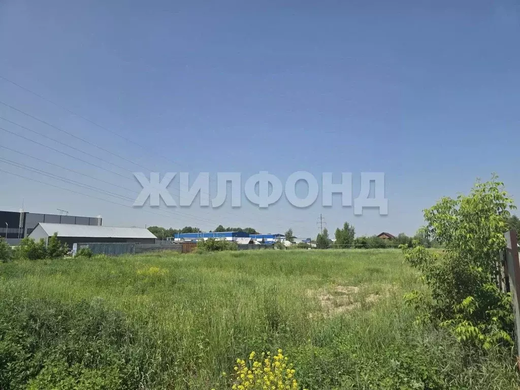 Участок в Новосибирская область, Новосибирский район, Кудряшовский дп  ... - Фото 1