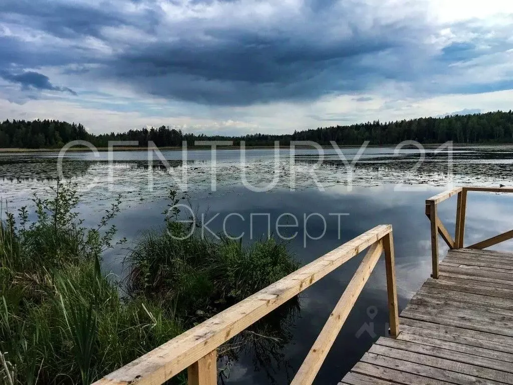 Участок в Калининградская область, Нестеровский муниципальный округ, ... - Фото 2