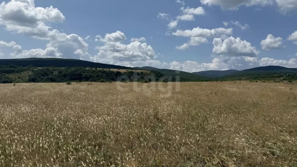 Участок в Крым, Кировский район, Старый Крым городское поселение ул. ... - Фото 2