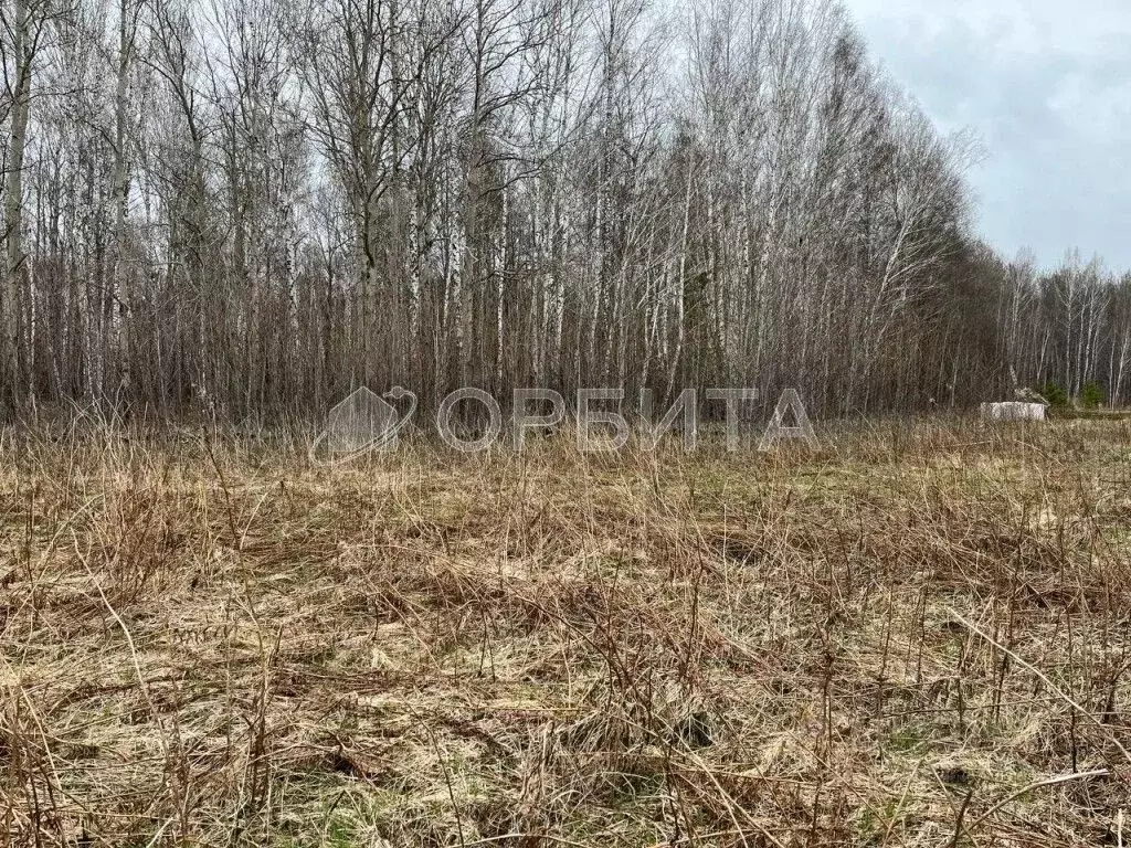 Участок в Тюменская область, Тюменский муниципальный округ, с. Кулига, ... - Фото 2