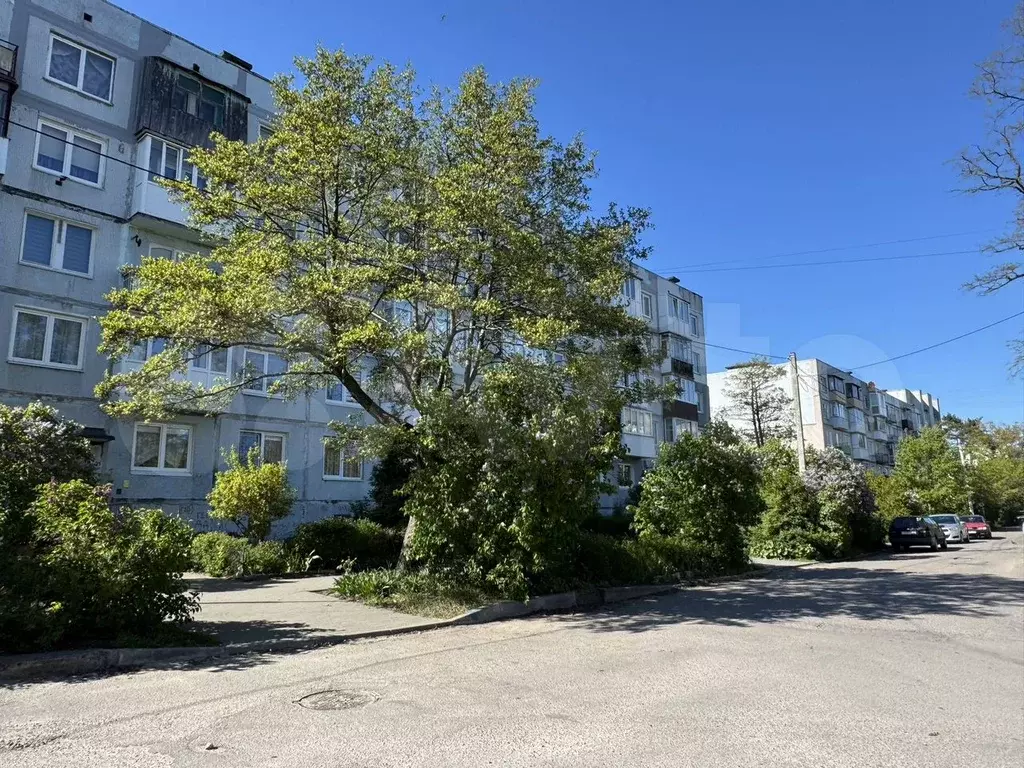 1-к. квартира, 30 м, 3/5 эт. - Фото 0