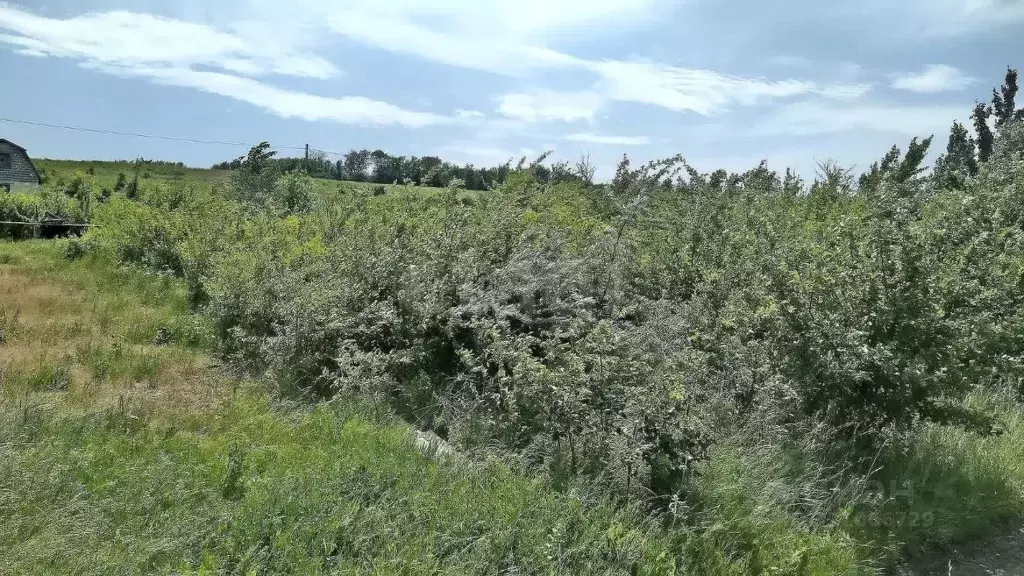 Участок в Ставропольский край, Ставрополь Северное-2 садовое ... - Фото 1