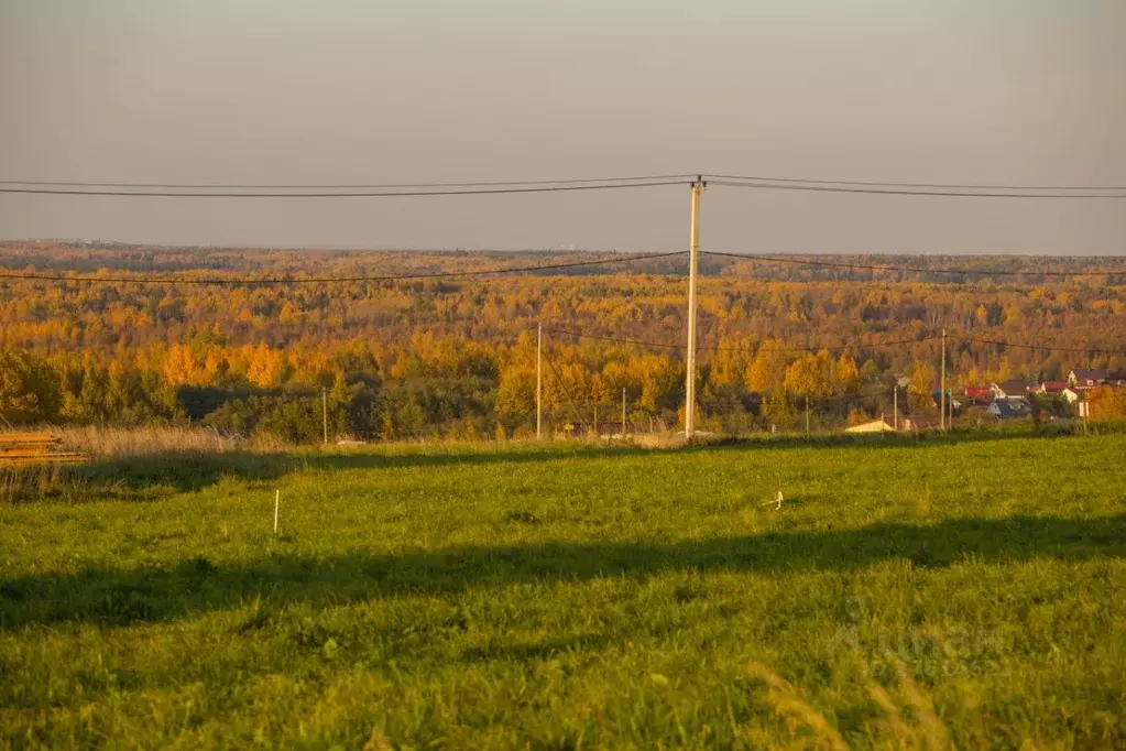 Участок в Ленинградская область, Ломоносовский район, Ропшинское ... - Фото 0