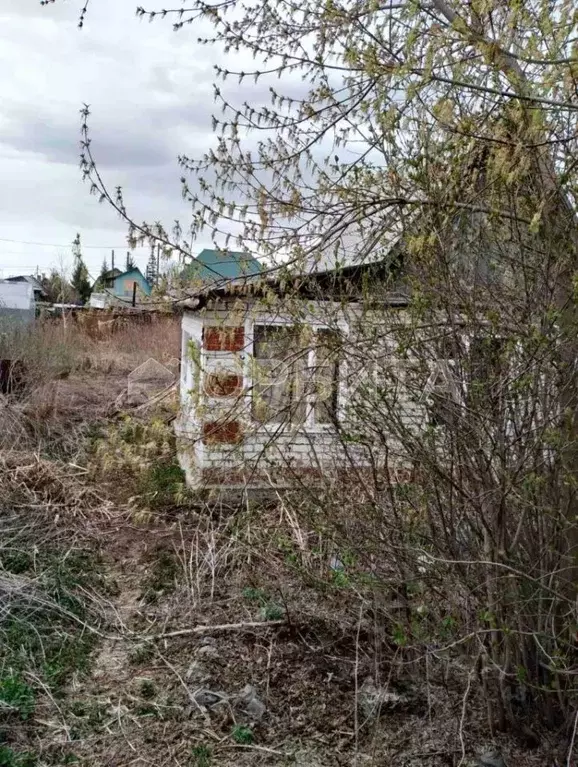 Участок в Тюменская область, Тюмень Степное садовое товарищество, ул. ... - Фото 1