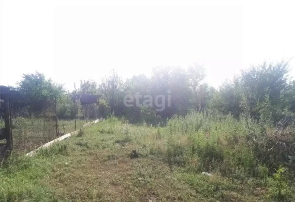 Участок в Ростовская область, Сальский район, Гигантовское с/пос, ... - Фото 1