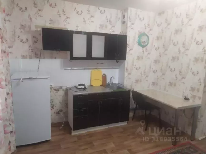 Студия Красноярский край, Красноярск ул. Чернышевского, 110 (24.0 м) - Фото 0