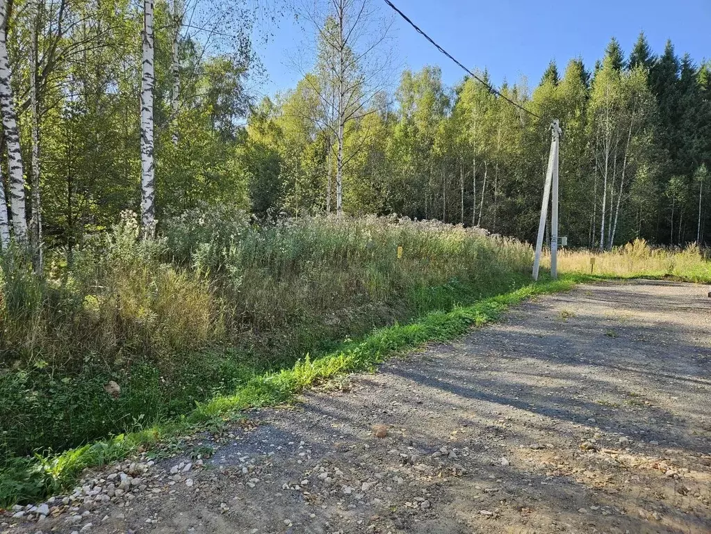 Участок в Московская область, Чехов городской округ, д. Зыкеево  (10.0 ... - Фото 1