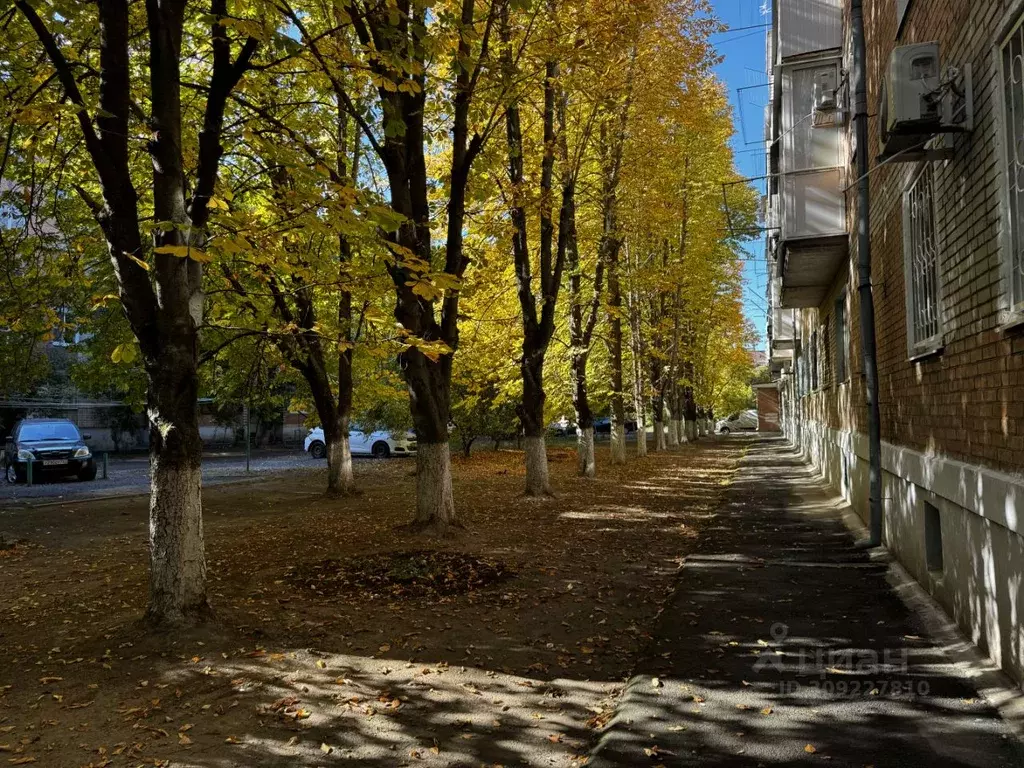 1-к кв. Ростовская область, Таганрог ул. Мичурина, 3 (30.0 м) - Фото 1