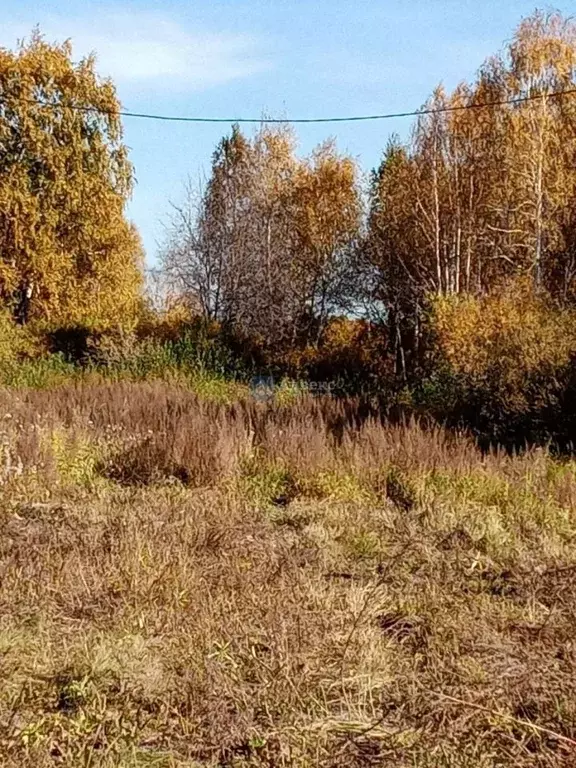 Участок в Тюменская область, Тюменский муниципальный округ, с. Борки ... - Фото 2