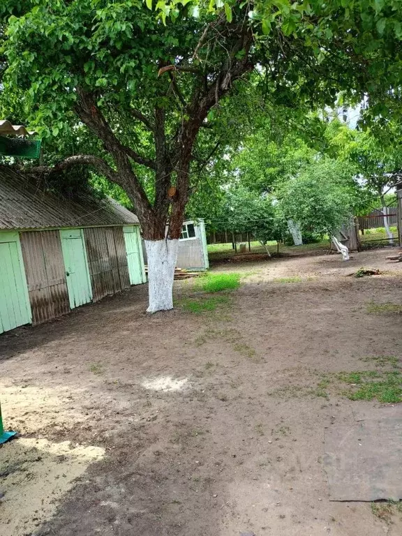 Дом в Воронежская область, Кантемировский район, с. Митрофановка ... - Фото 1