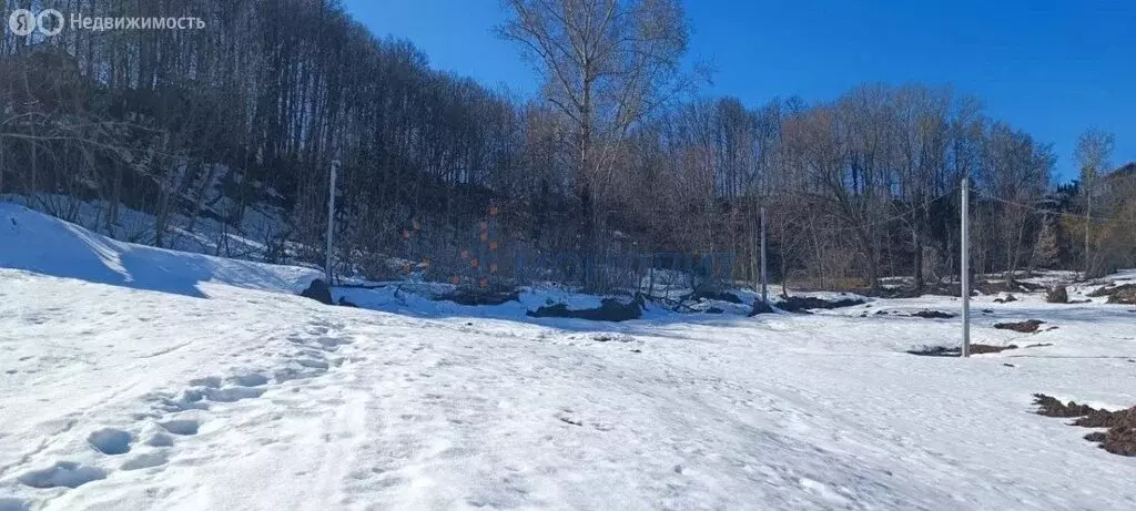 Участок в деревня Афонино, Родниковая улица, 28 (5 м) - Фото 1