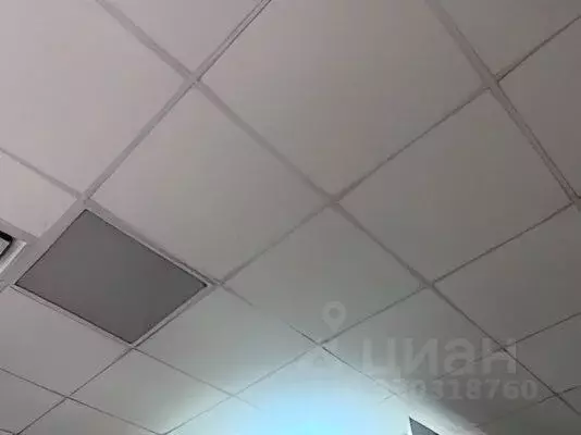 Помещение свободного назначения в Омская область, Омск ул. Герцена, 69 ... - Фото 2