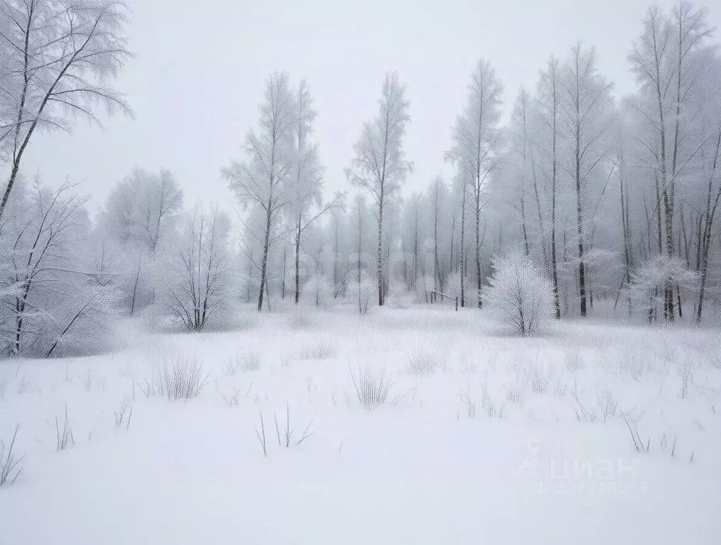 Участок в Тульская область, Тула городской округ, д. Прилепские ... - Фото 1