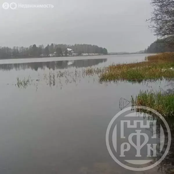 Участок в Лужский район, Скребловское сельское поселение, посёлок ... - Фото 1